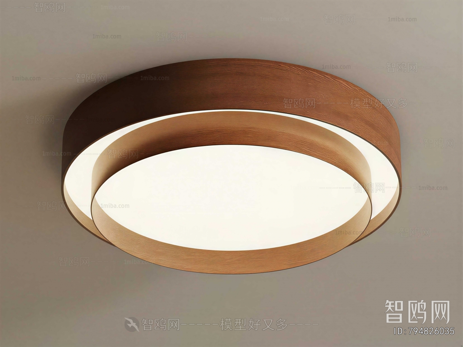 Modern Ceiling Ceiling Lamp