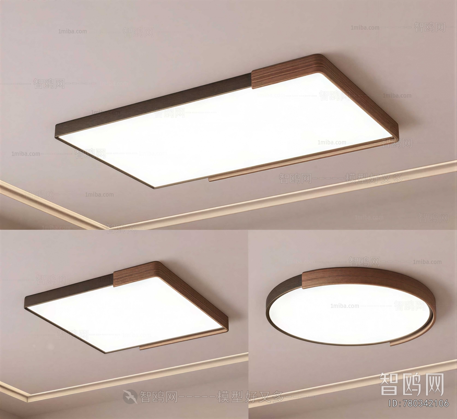 Modern Ceiling Ceiling Lamp