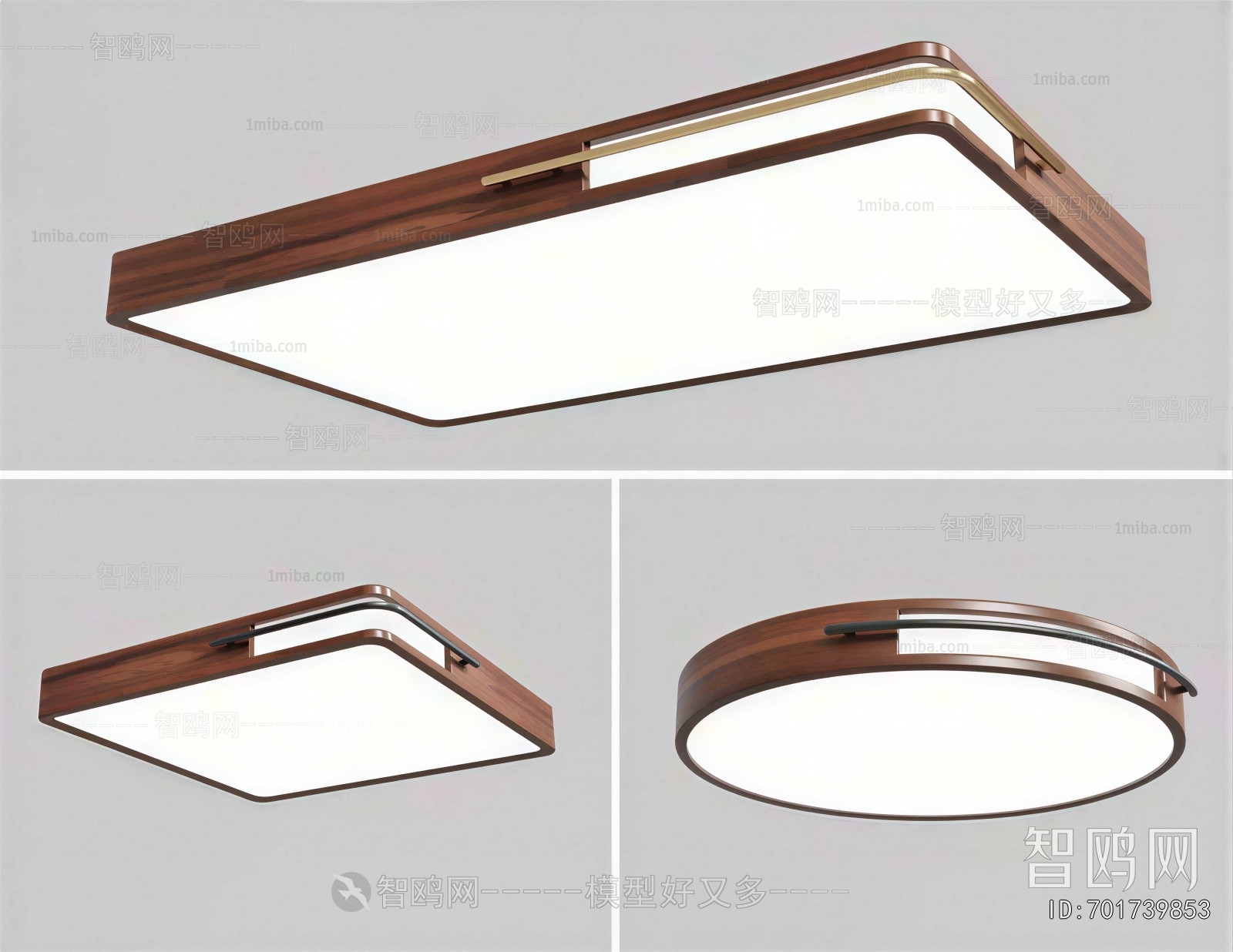 Modern Ceiling Ceiling Lamp