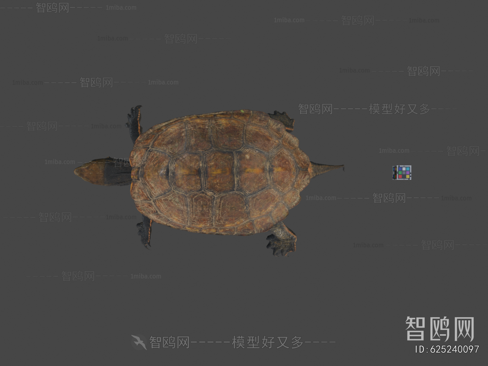 Modern Reptile