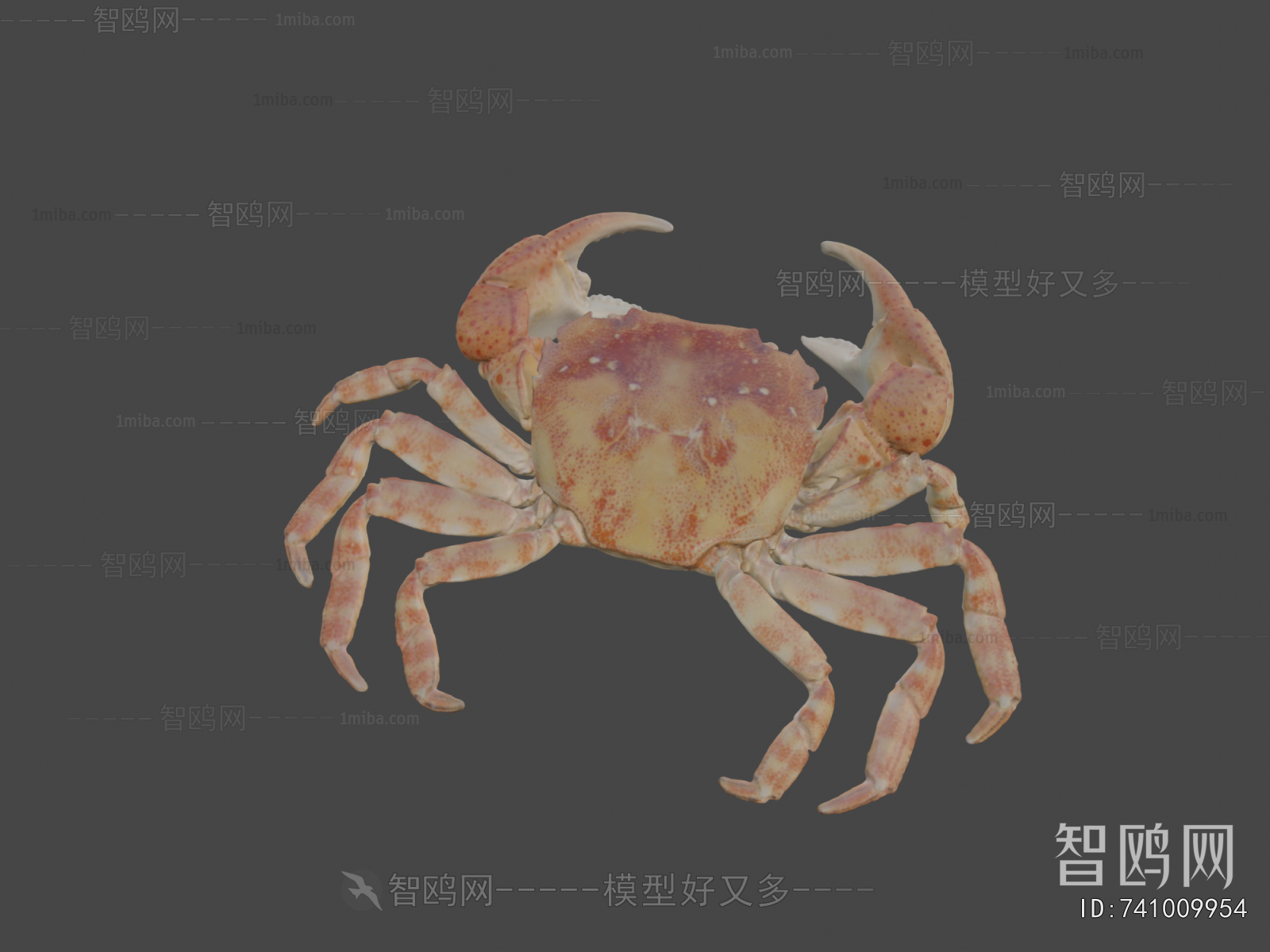 Modern Aquatic Animals