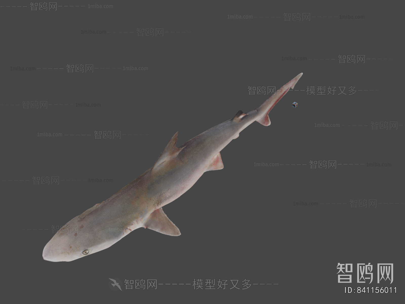 Modern Animal