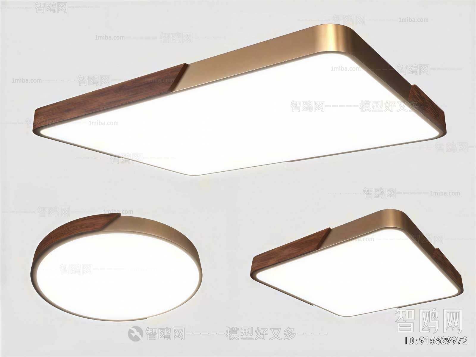 Modern Ceiling Ceiling Lamp