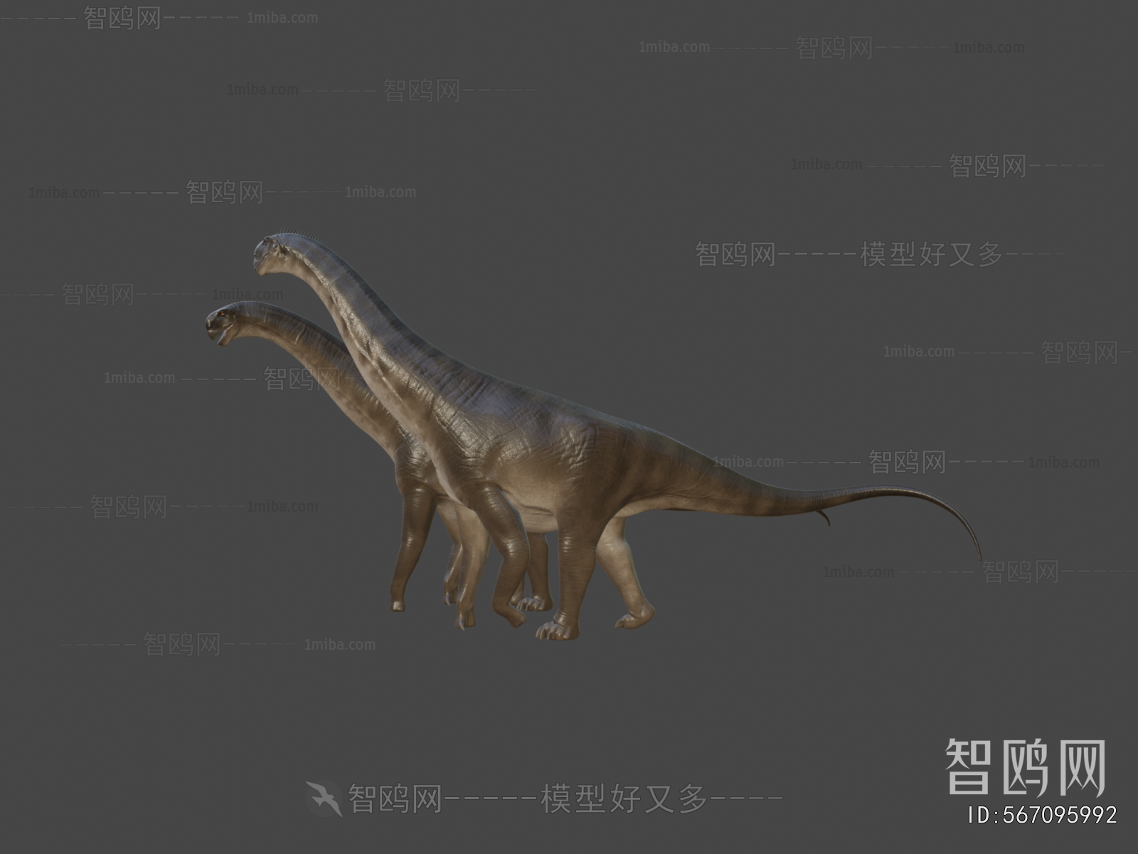 Modern Other Animals