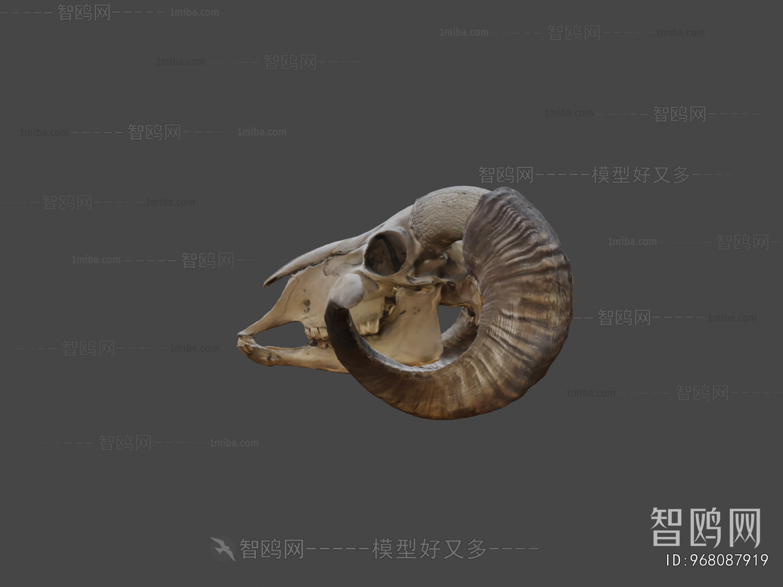 Modern Medical Equipment