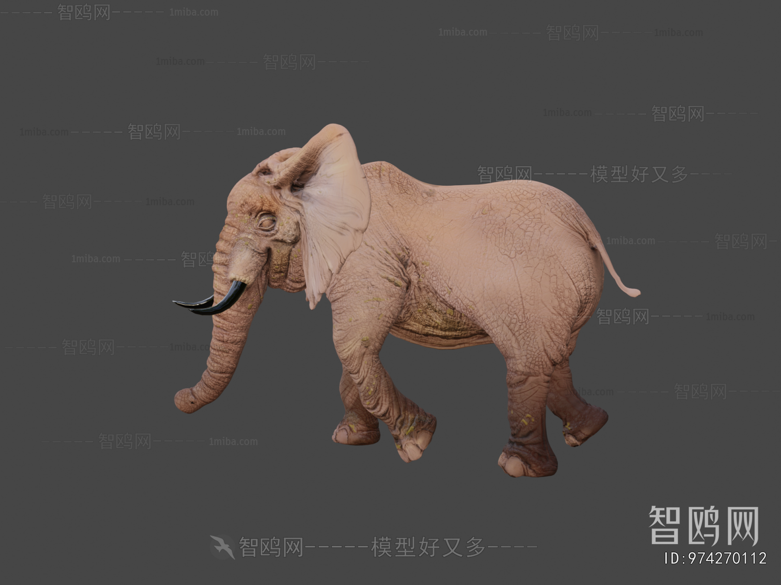 Modern Mammal