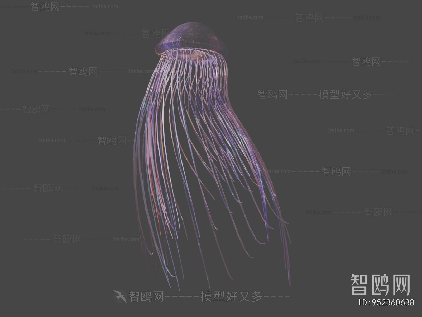 Modern Aquatic Animals