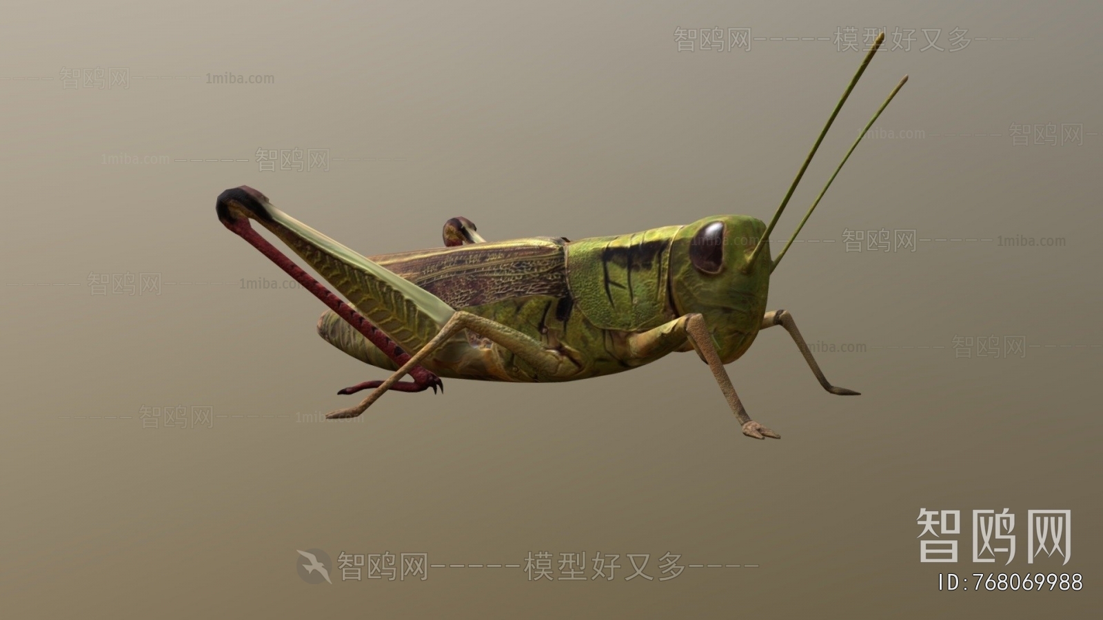 Modern Other Animals