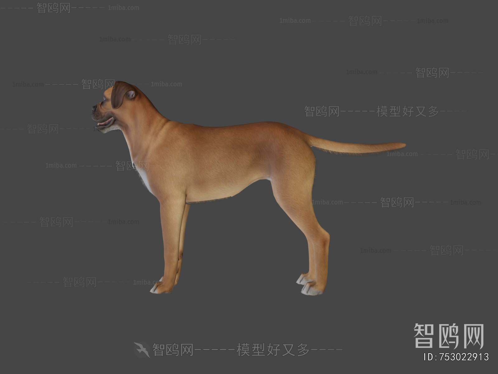Modern Animal Dog
