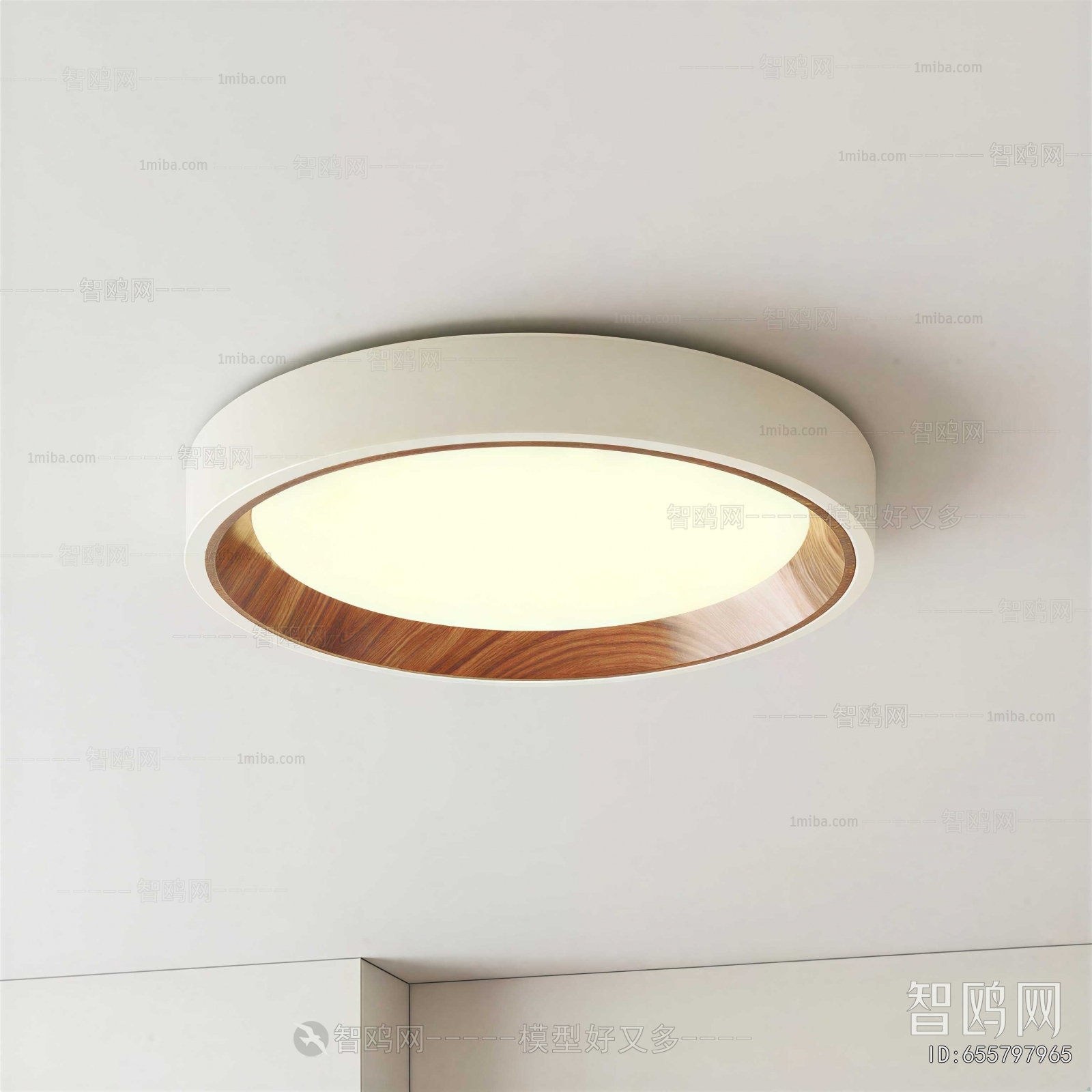 Modern Ceiling Ceiling Lamp