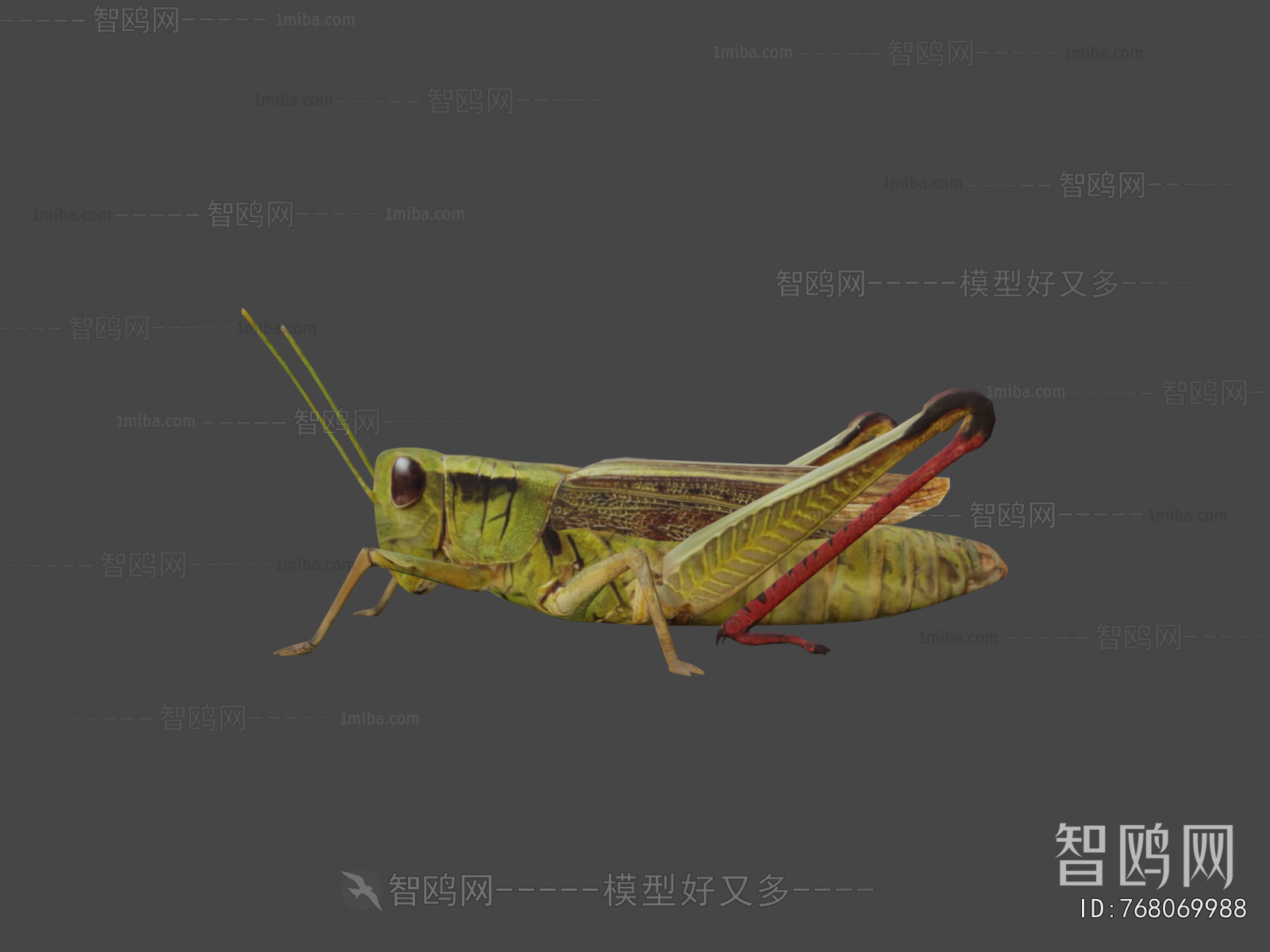 Modern Other Animals