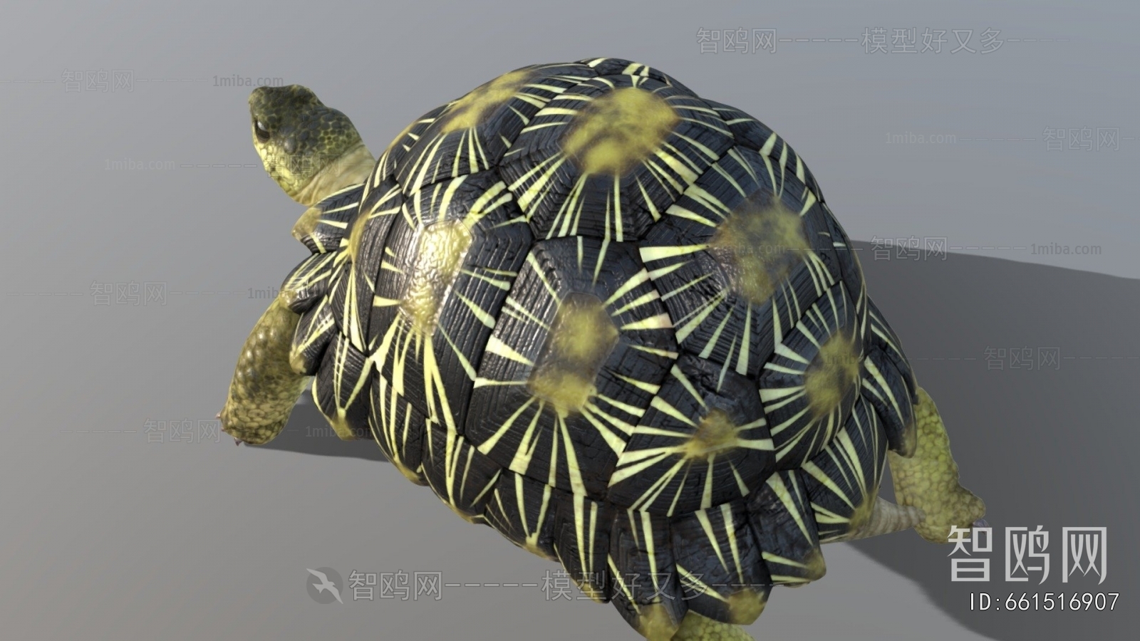 Modern Animal
