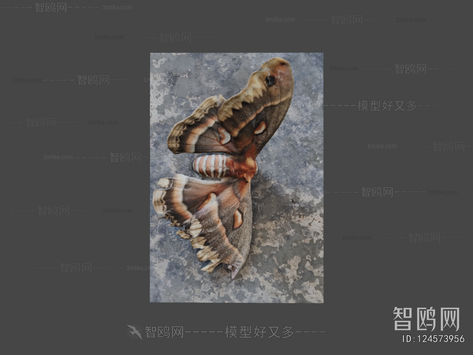 Modern Animal
