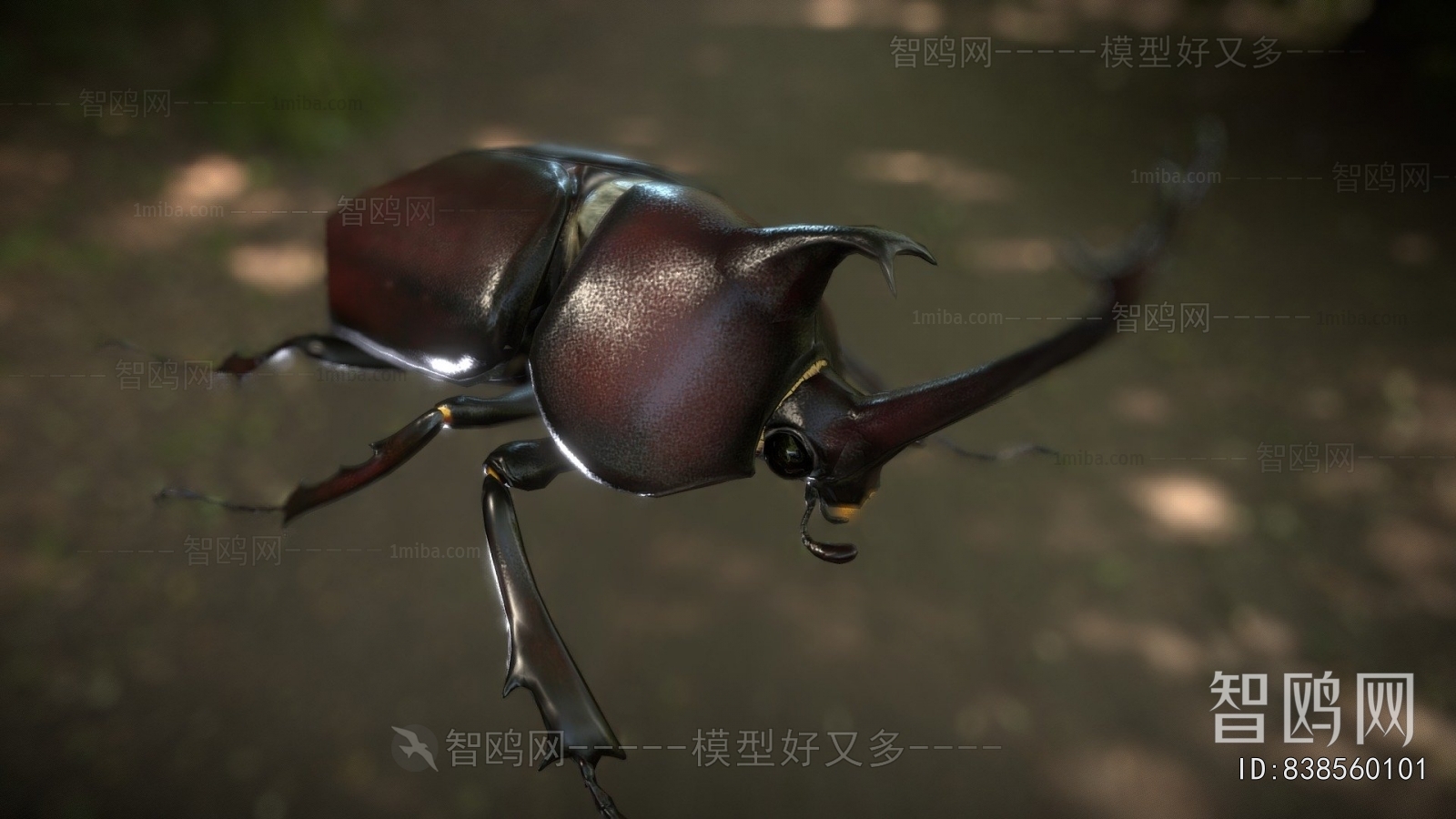 Modern Animal