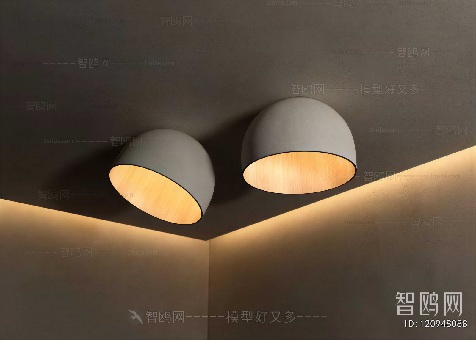 Modern Ceiling Ceiling Lamp