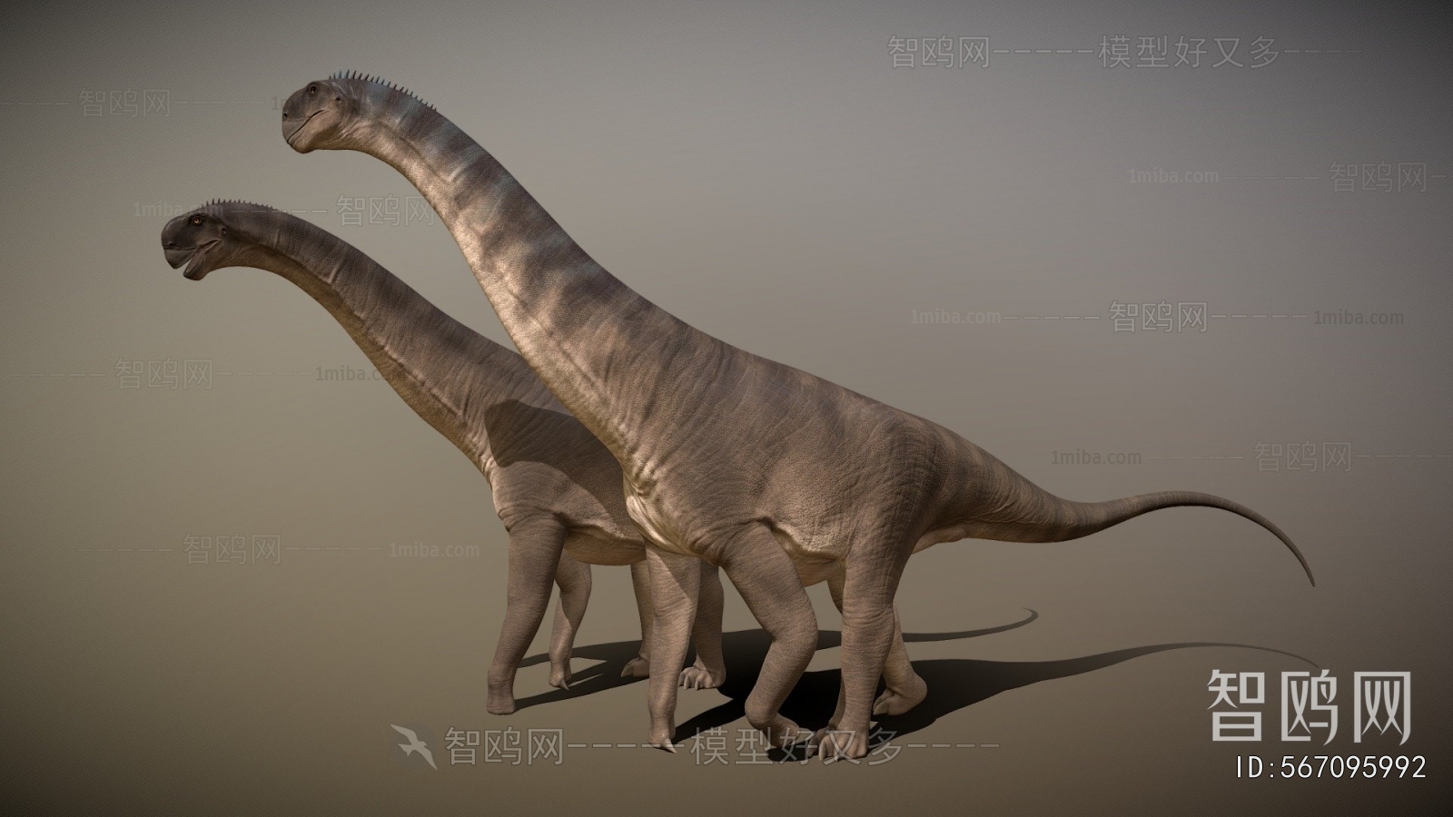 Modern Other Animals