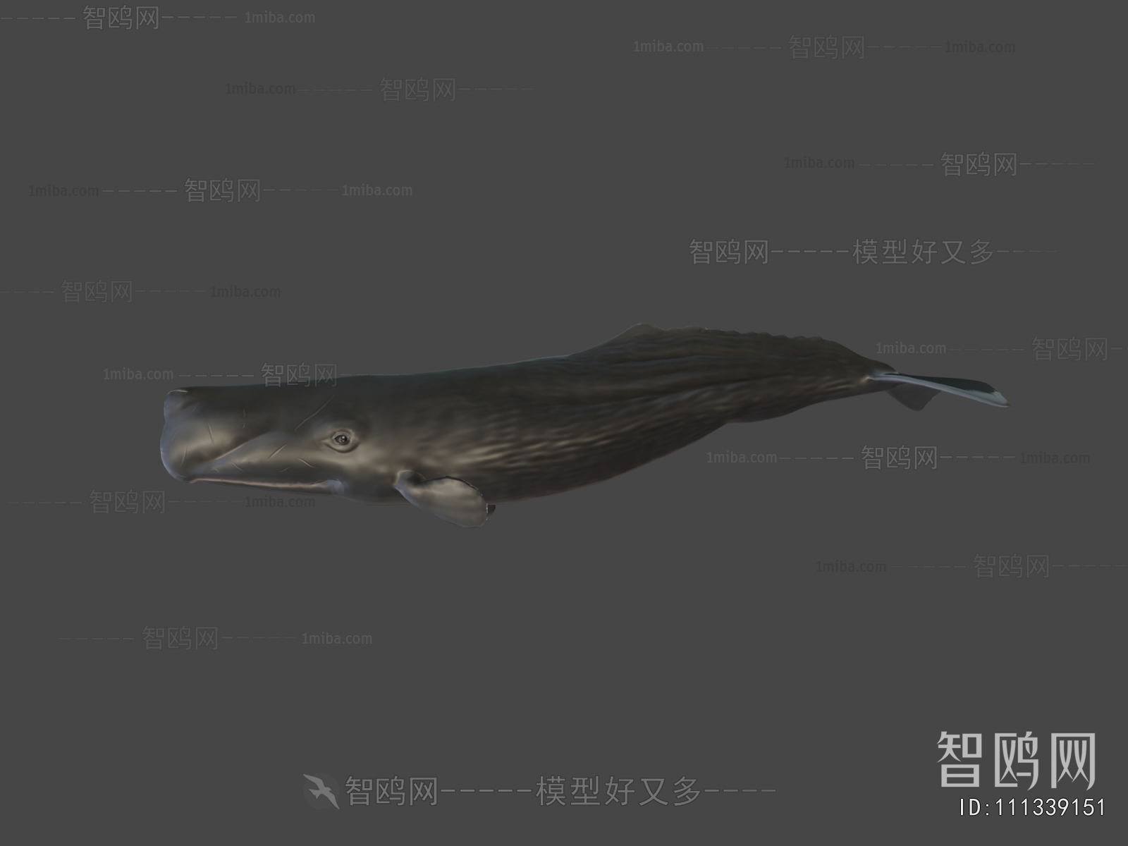 Modern Animal