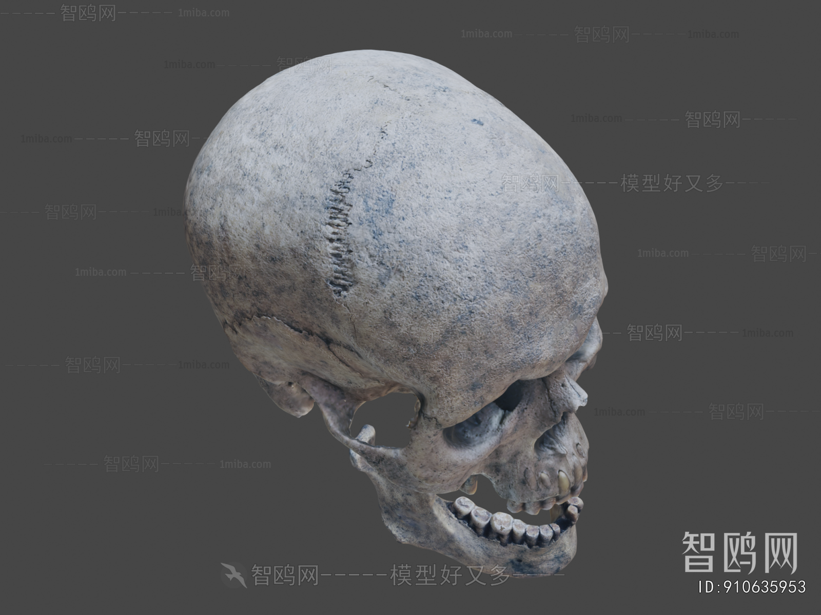 Modern Medical Equipment