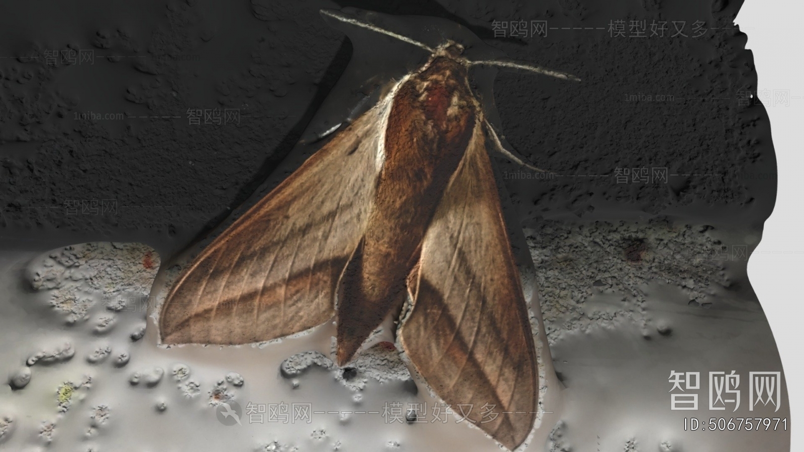 Modern Animal