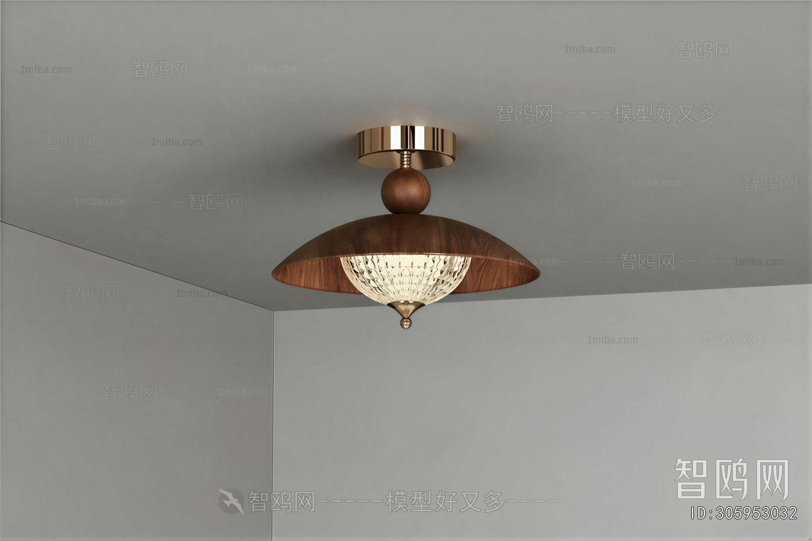 Modern Ceiling Ceiling Lamp