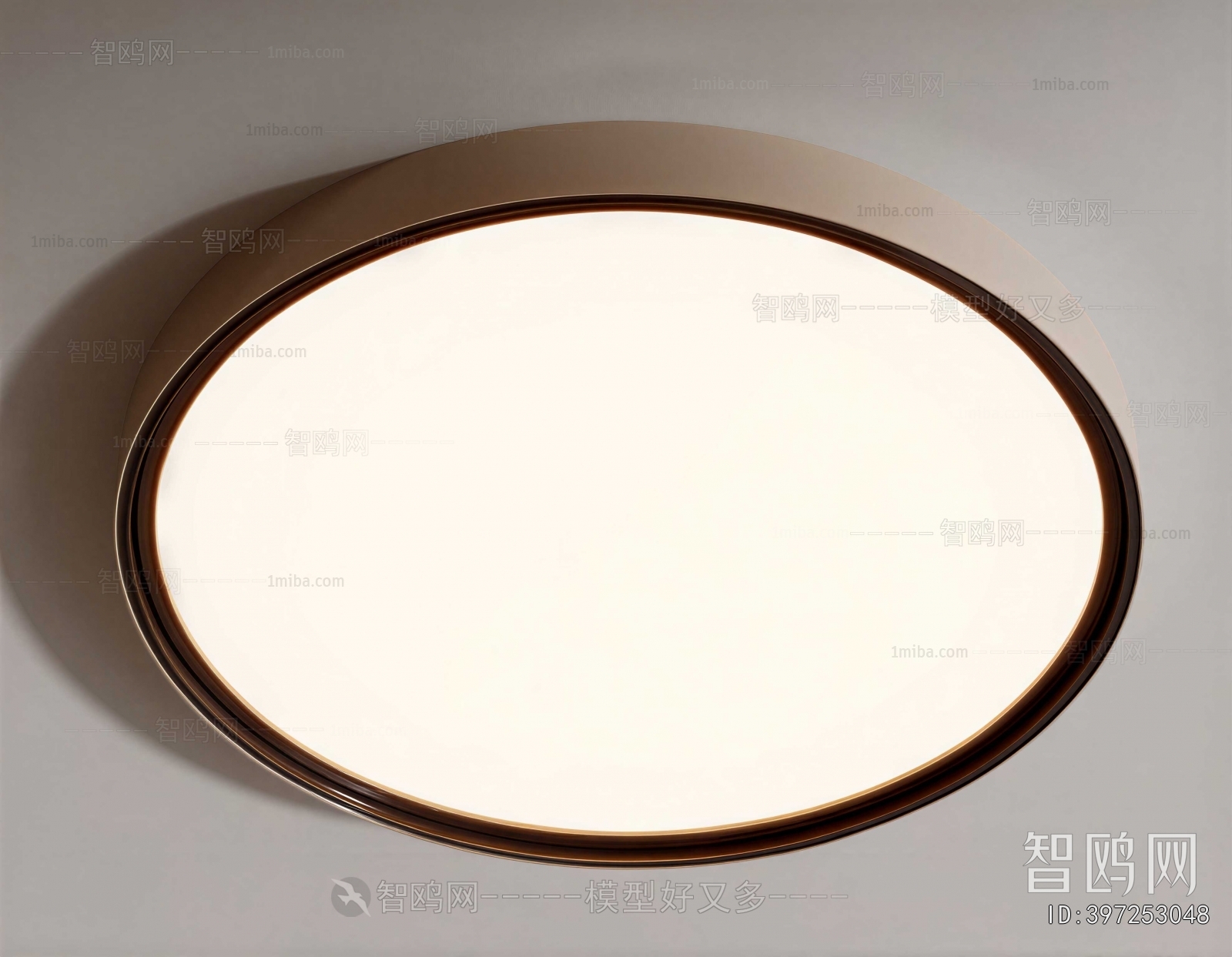 Modern Ceiling Ceiling Lamp