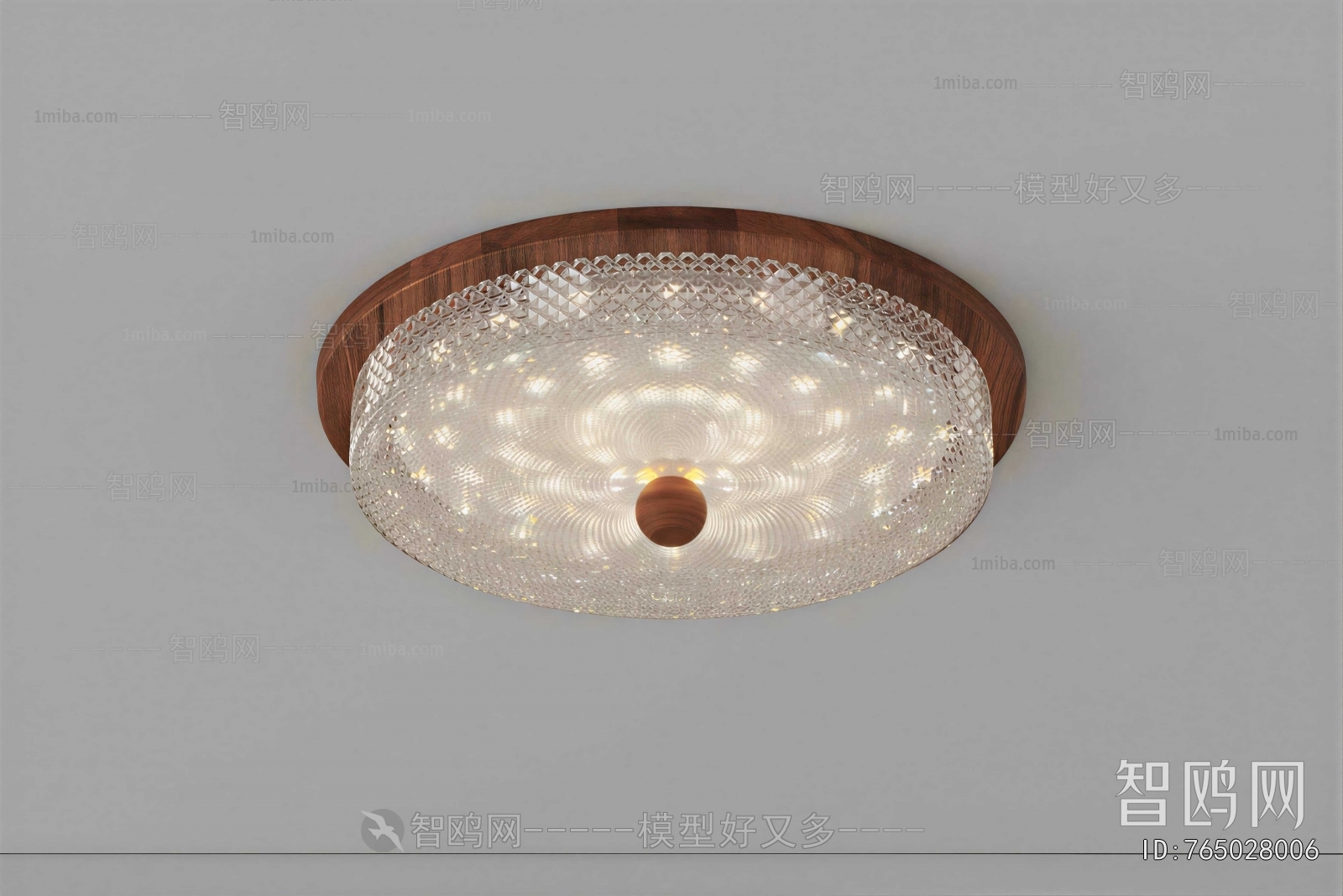 Modern Ceiling Ceiling Lamp