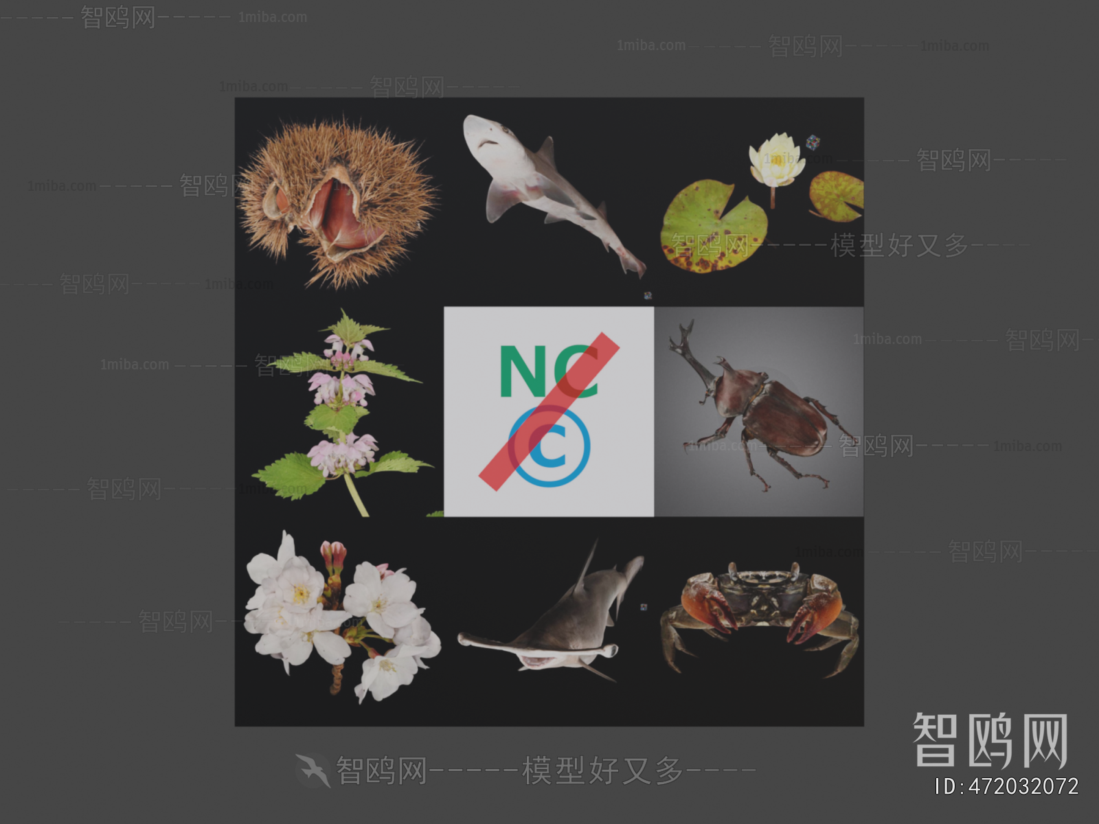 Modern Animal
