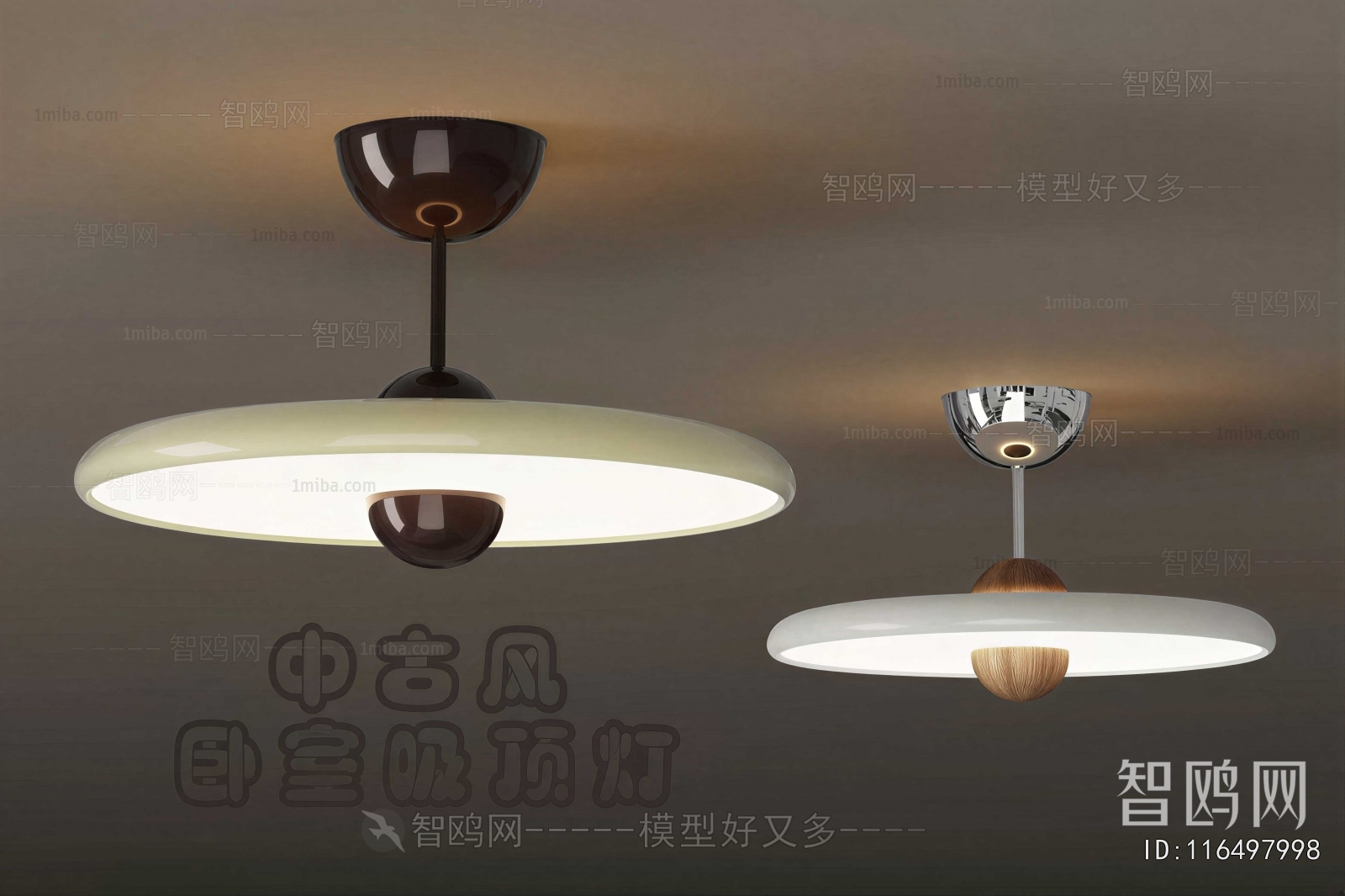Modern Ceiling Ceiling Lamp