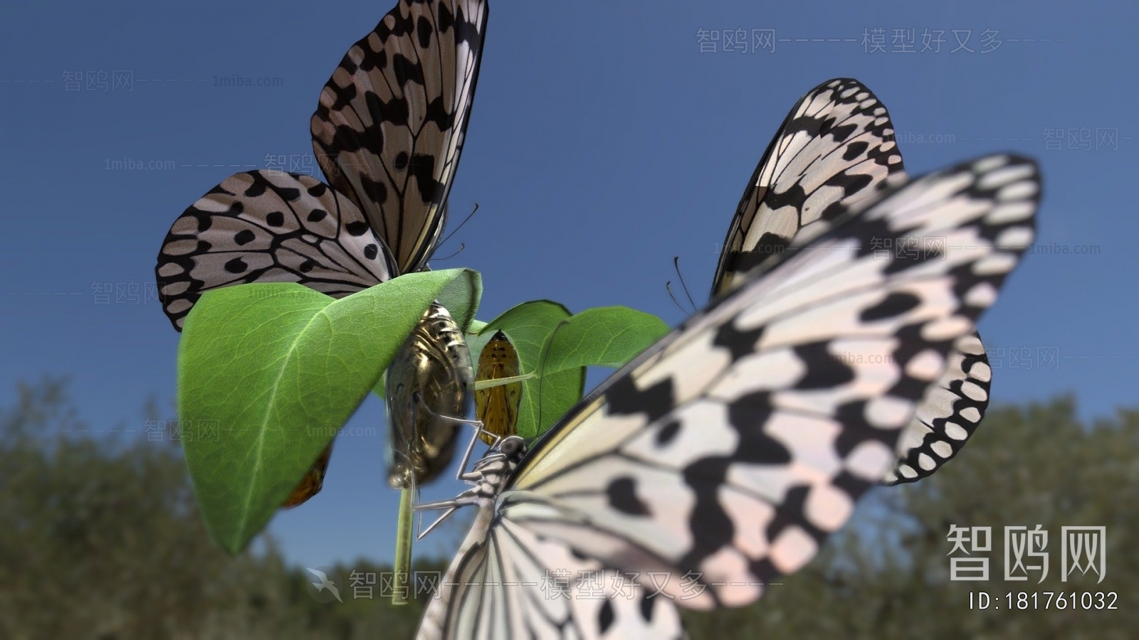 Modern Flying Animals