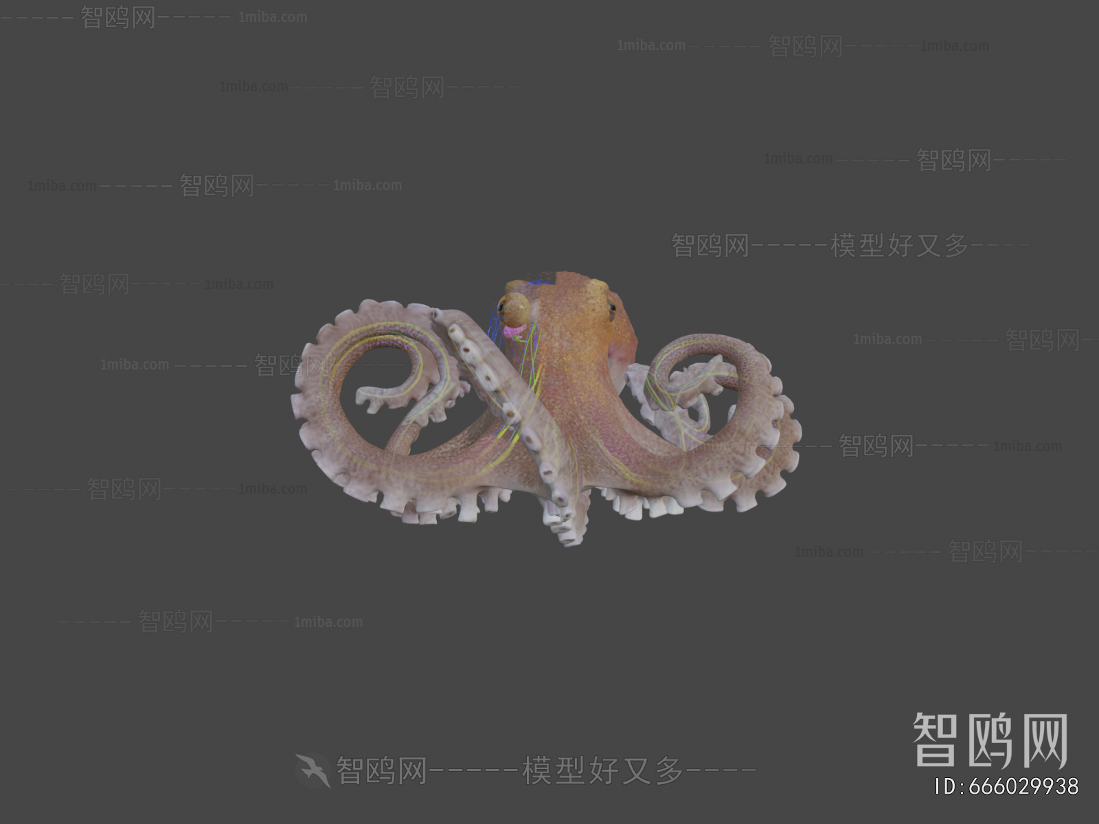 Modern Animal