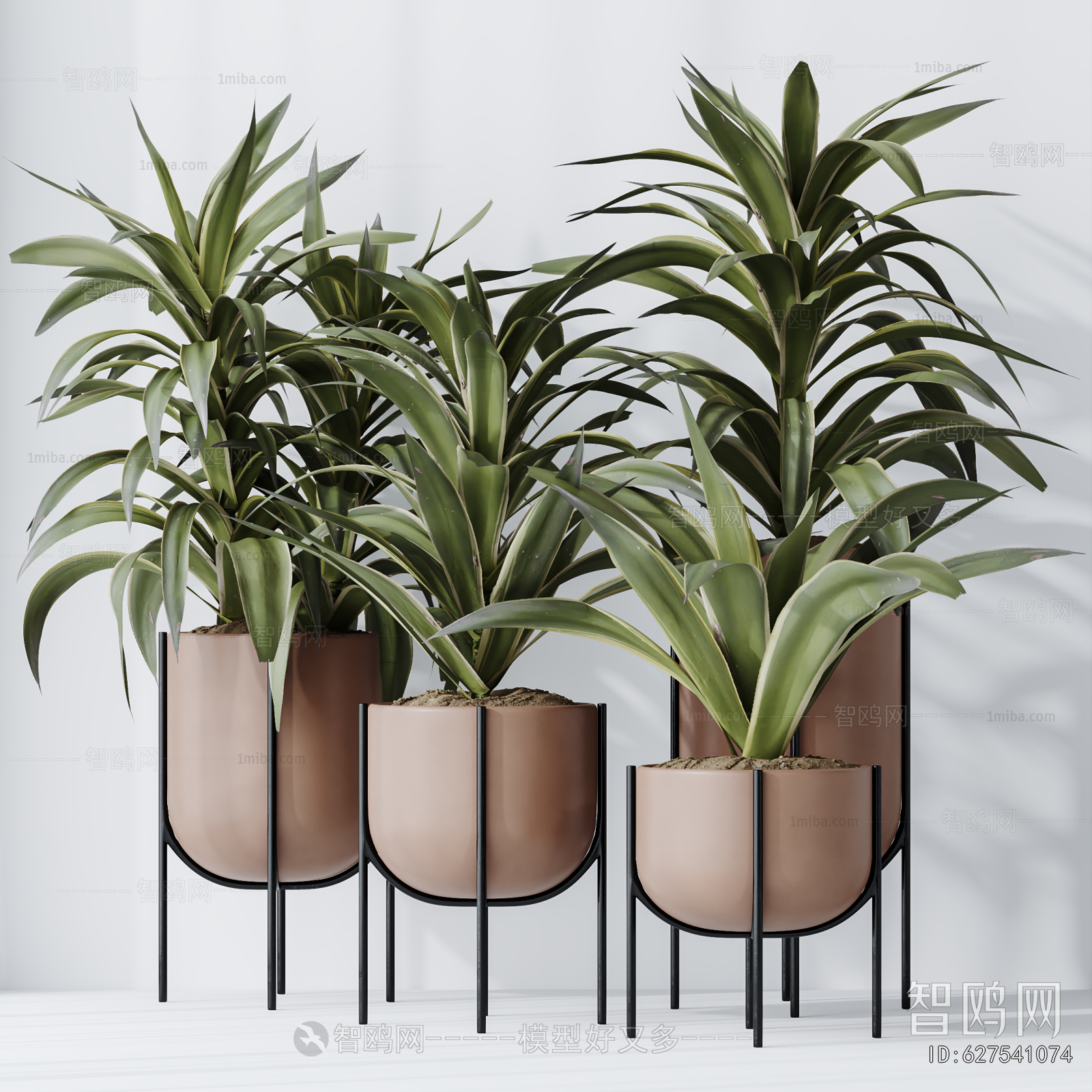 Modern Ground Green Plant Potted Plants