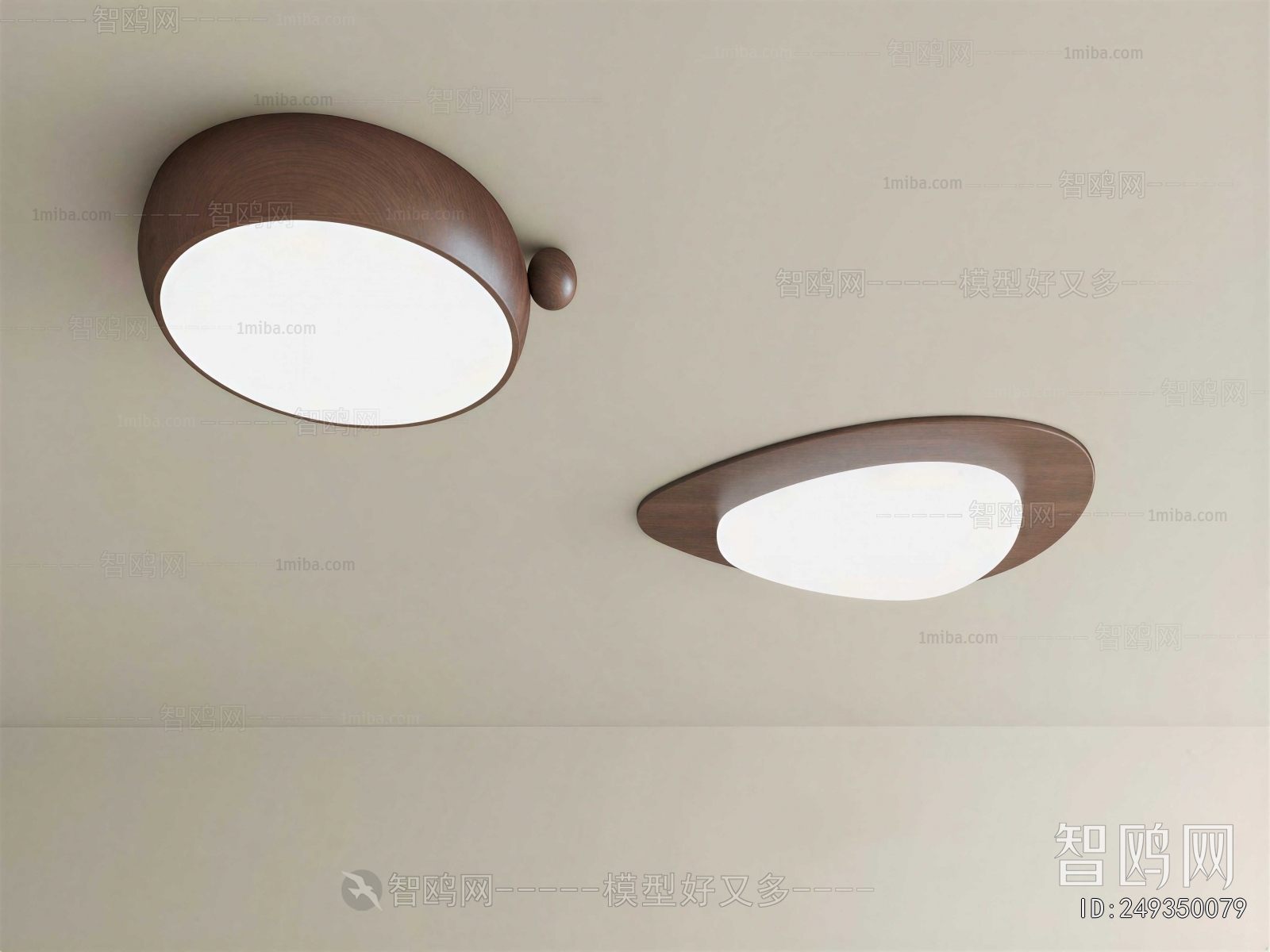 Modern Ceiling Ceiling Lamp