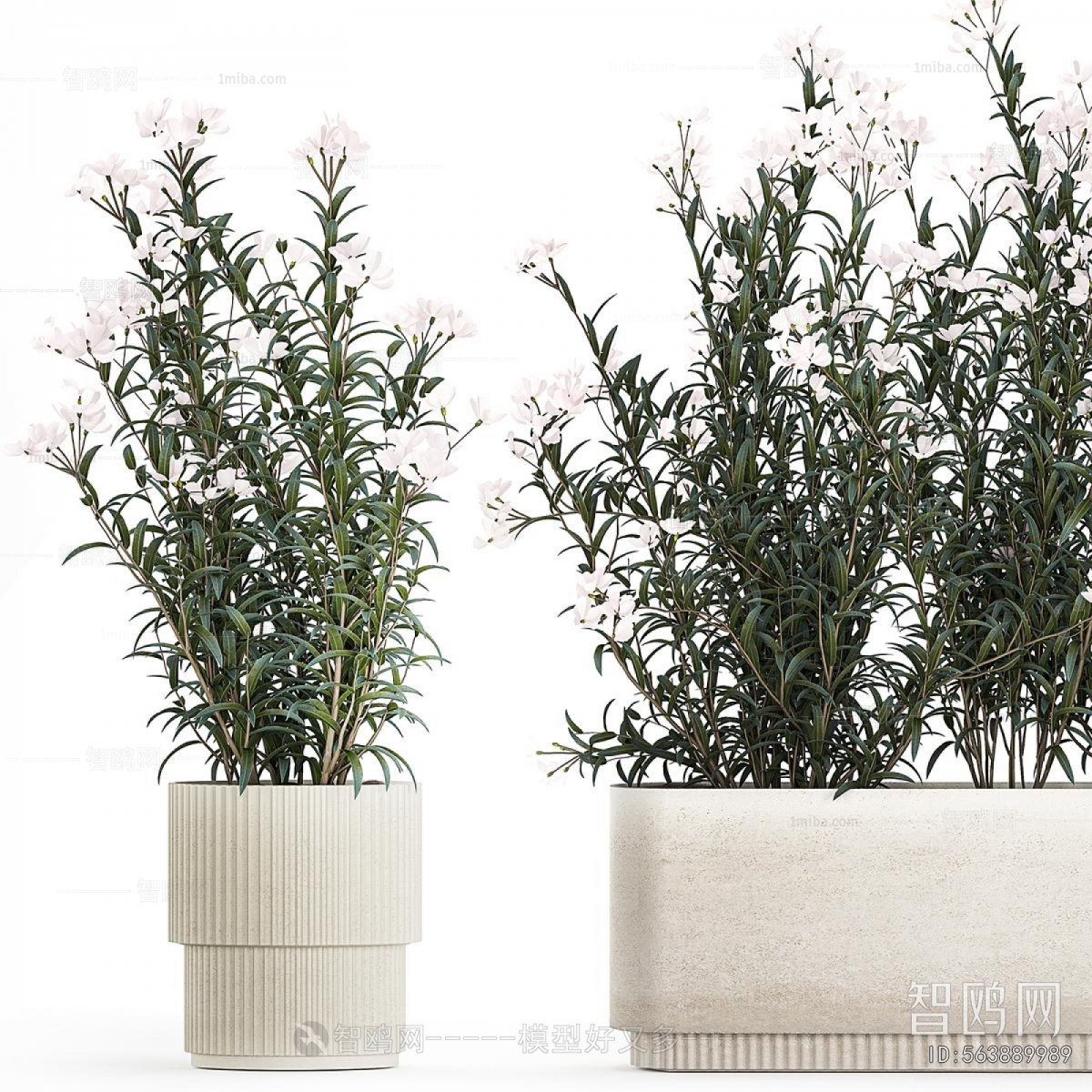 Modern Flower Bed, Flower Bowl, Flower Box