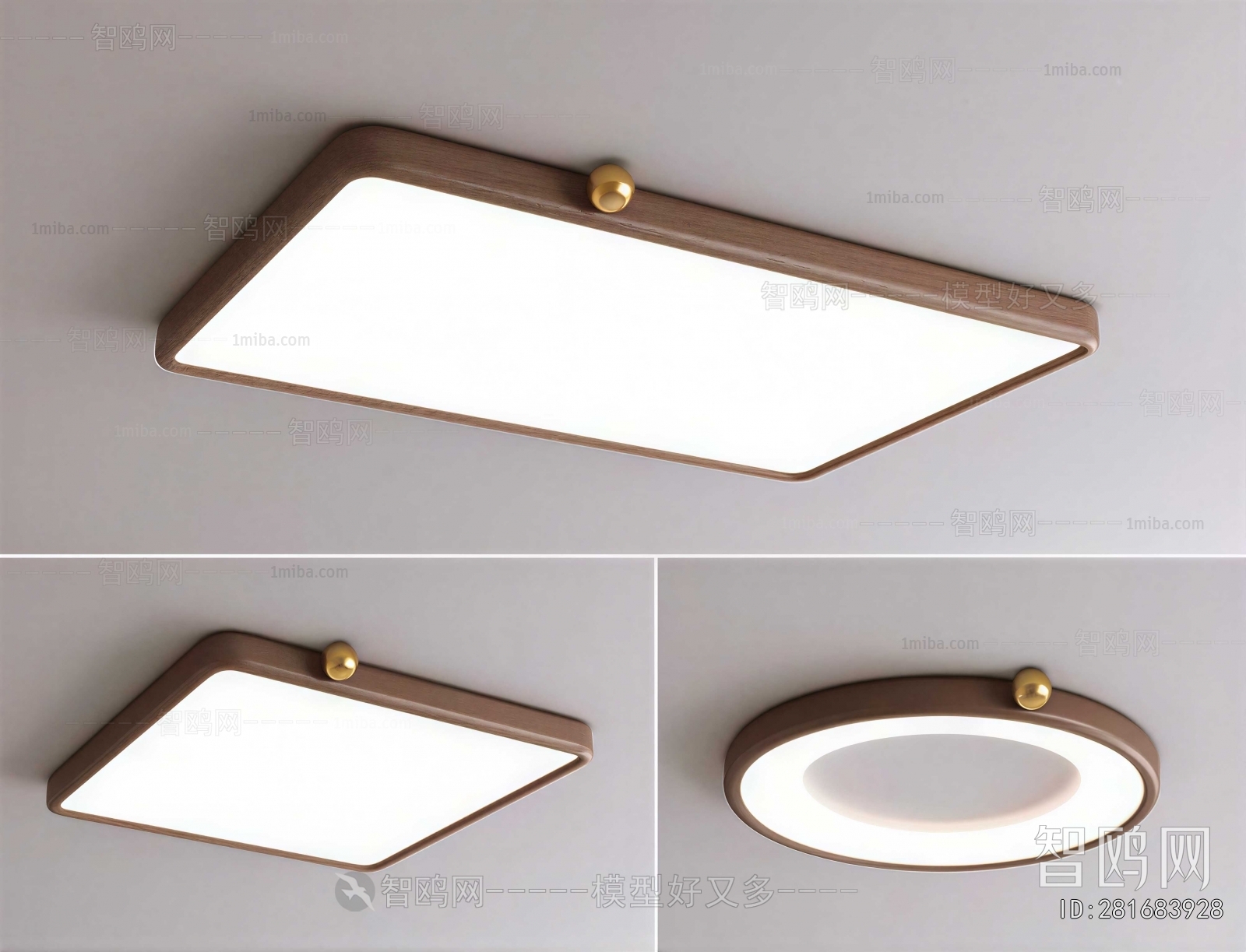 Modern Ceiling Ceiling Lamp