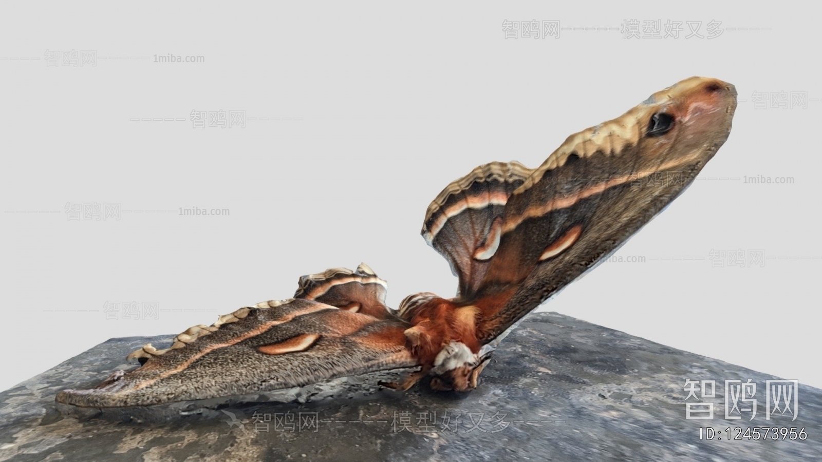 Modern Animal