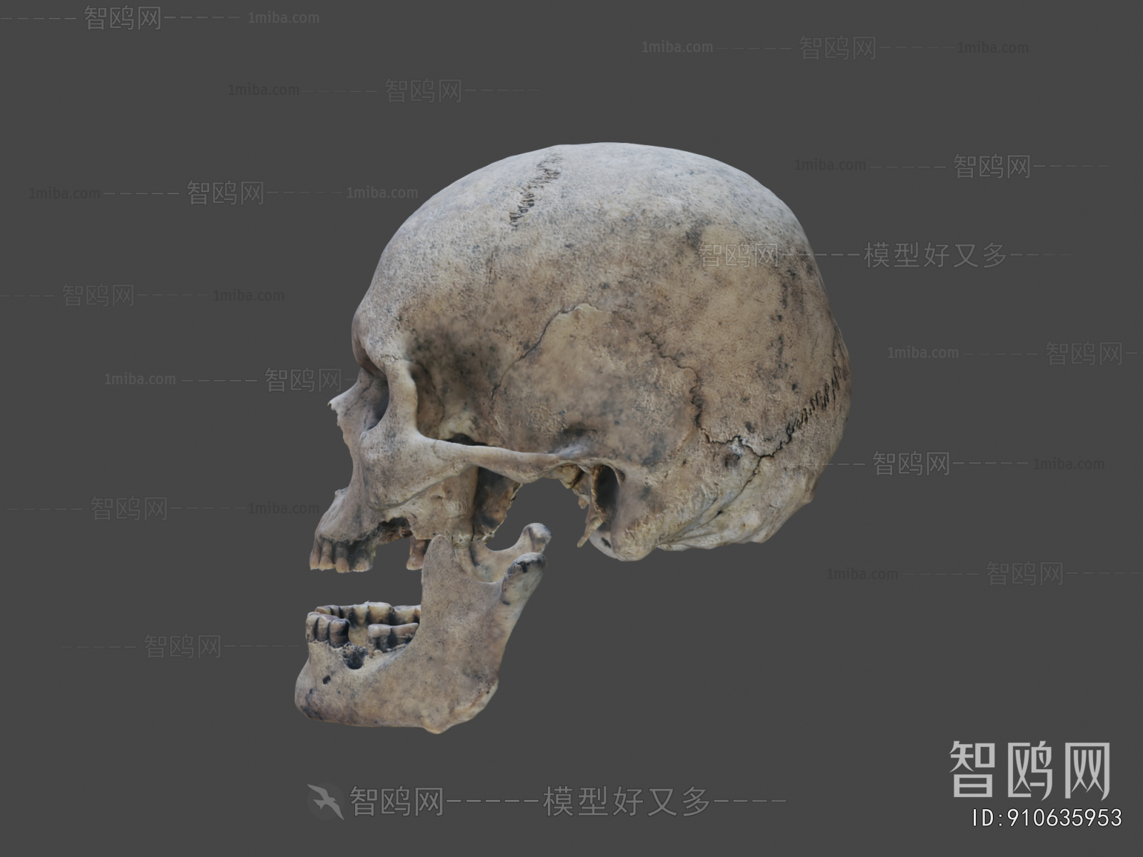 Modern Medical Equipment