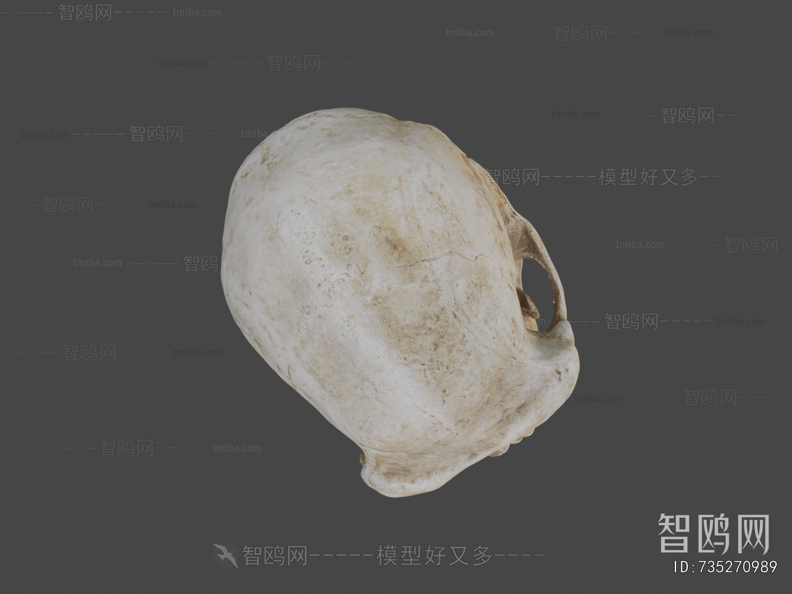 Modern Medical Equipment