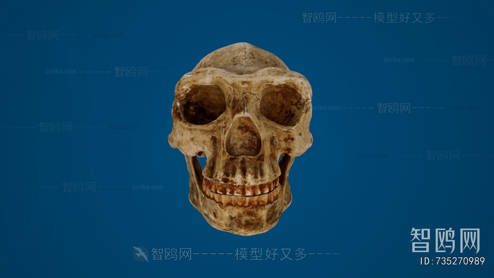 Modern Medical Equipment