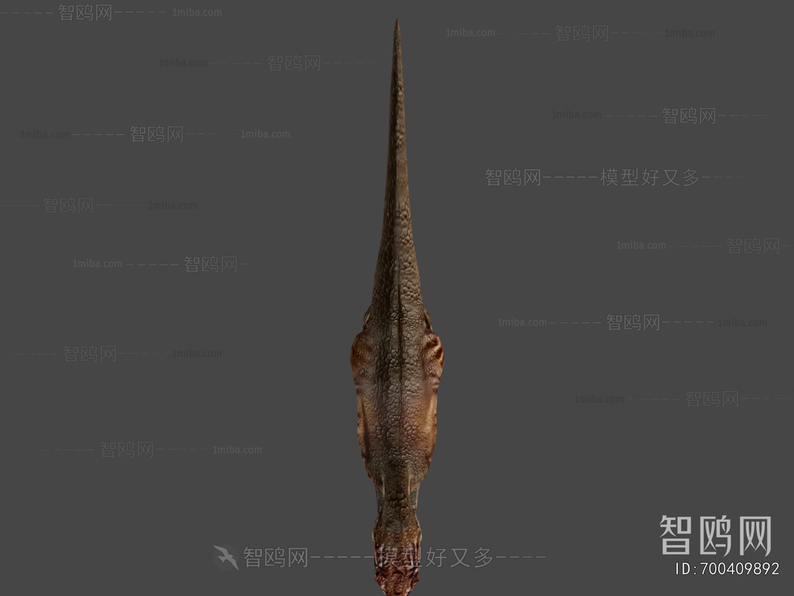 Modern Animal