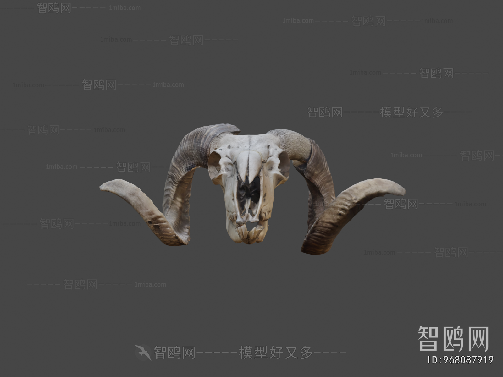 Modern Medical Equipment