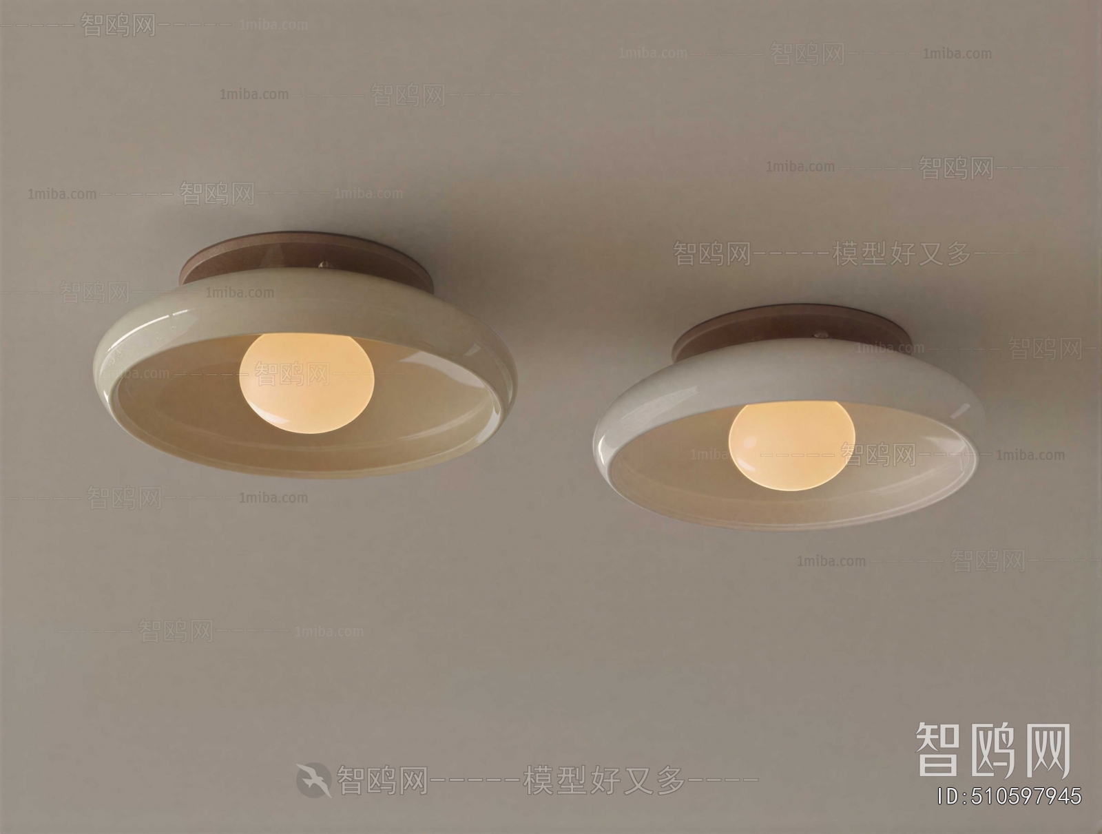 Modern Ceiling Ceiling Lamp
