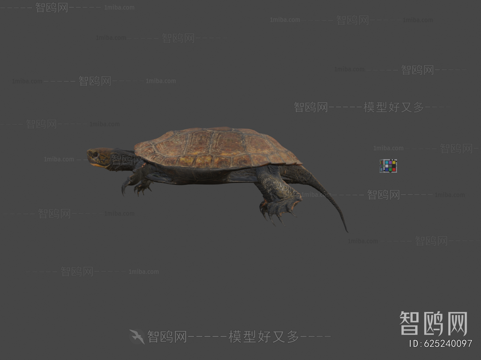Modern Reptile