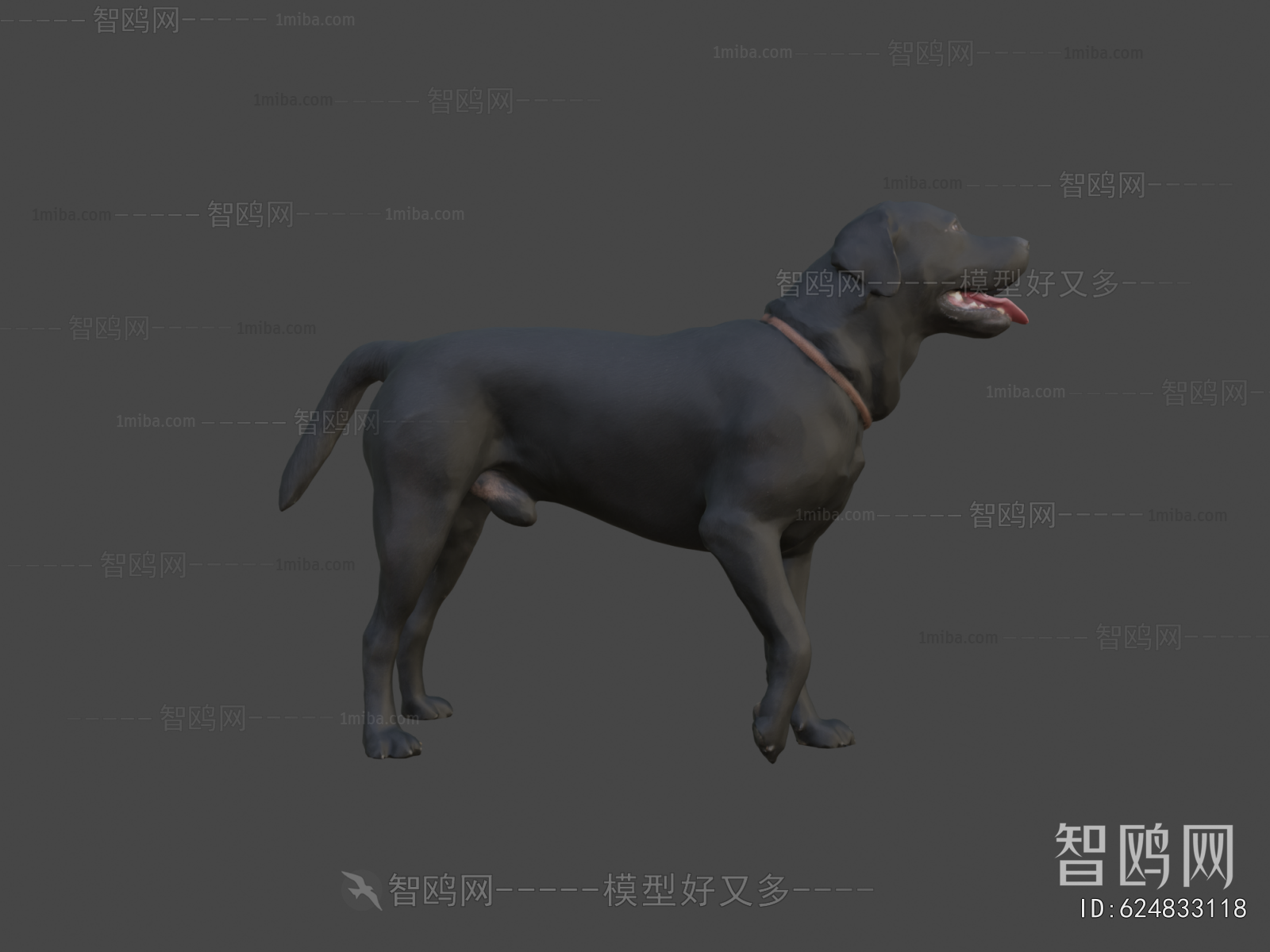 Modern Animal Dog