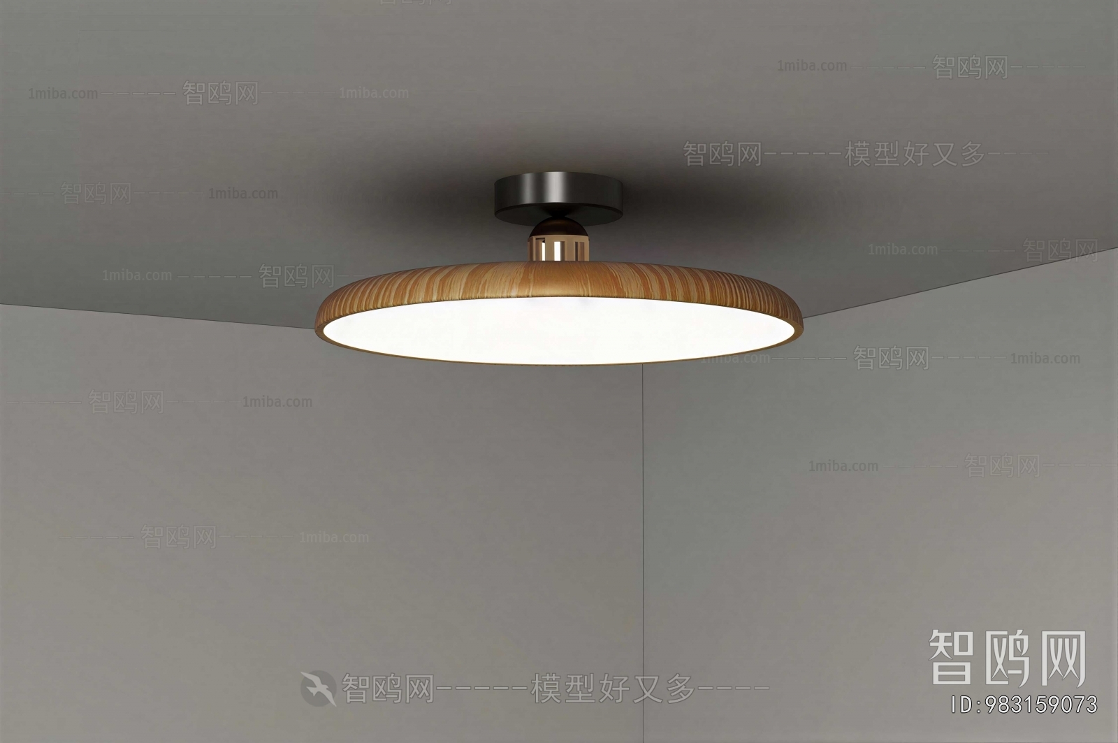 Modern Ceiling Ceiling Lamp
