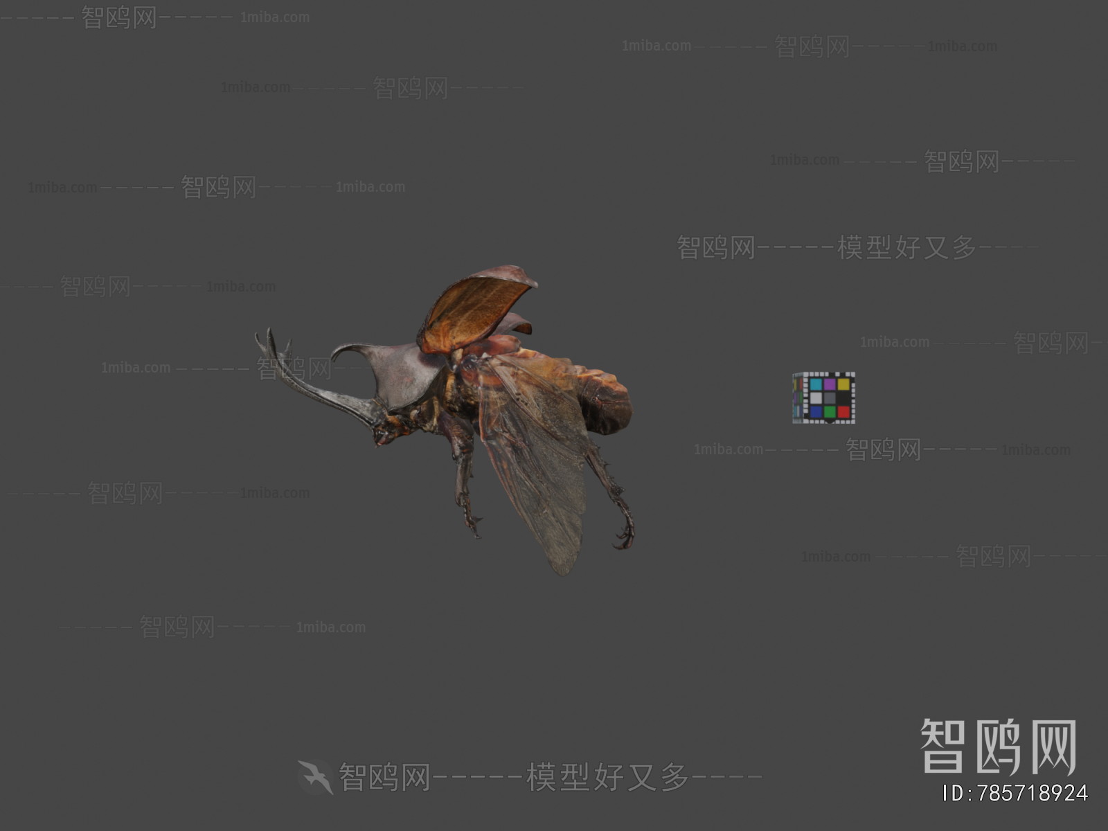 Modern Animal
