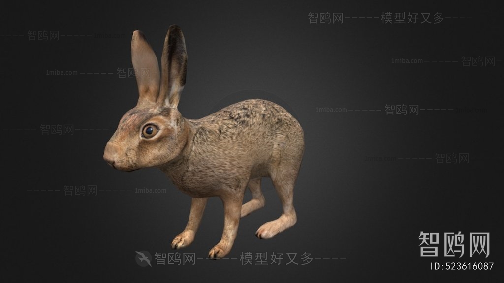 Modern Mammal