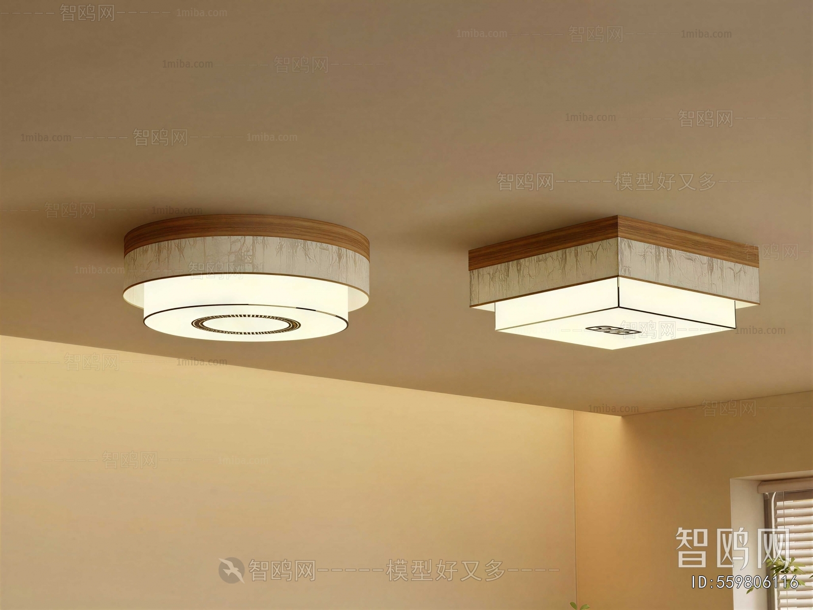 Modern Ceiling Ceiling Lamp