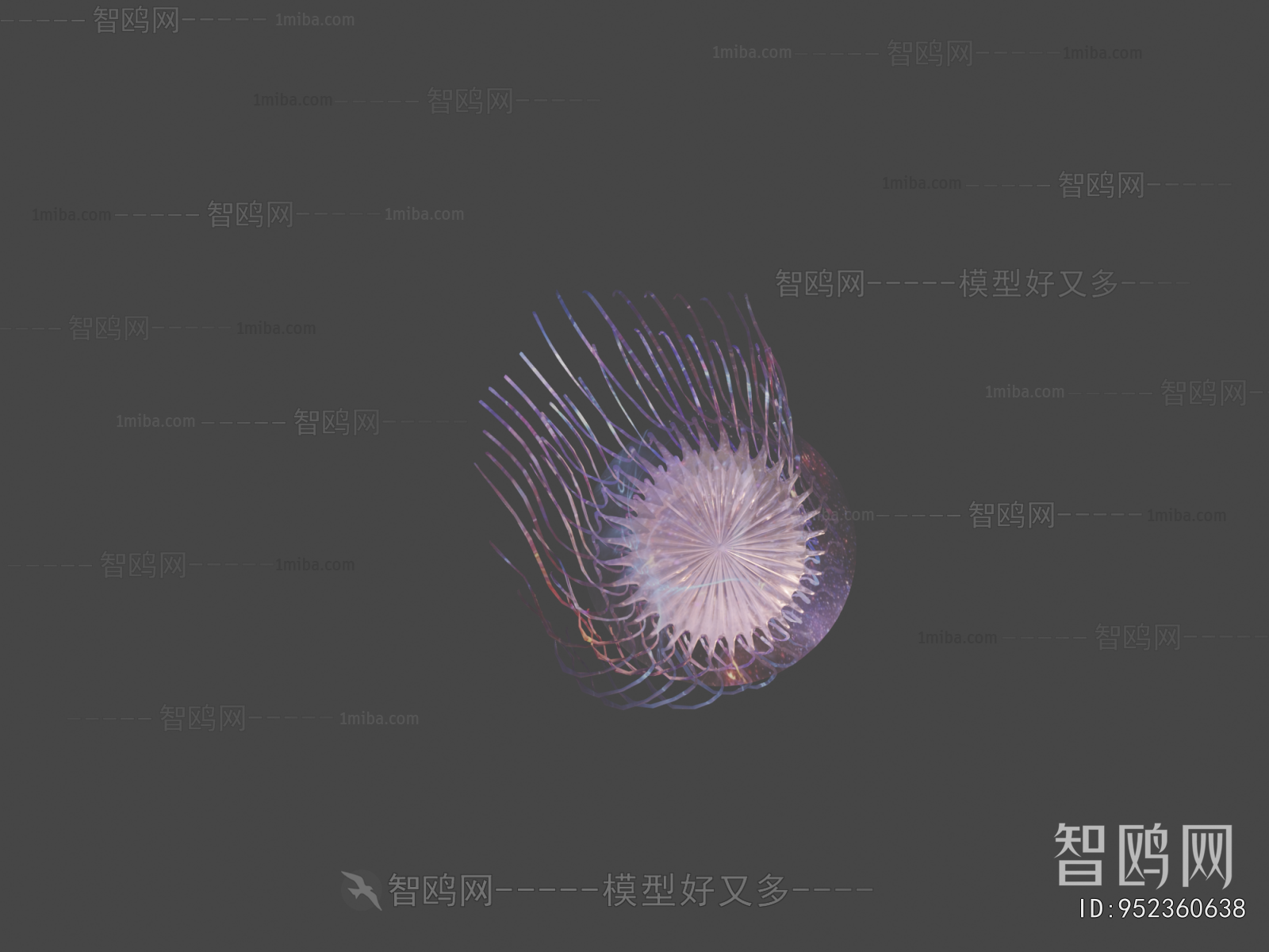 Modern Aquatic Animals