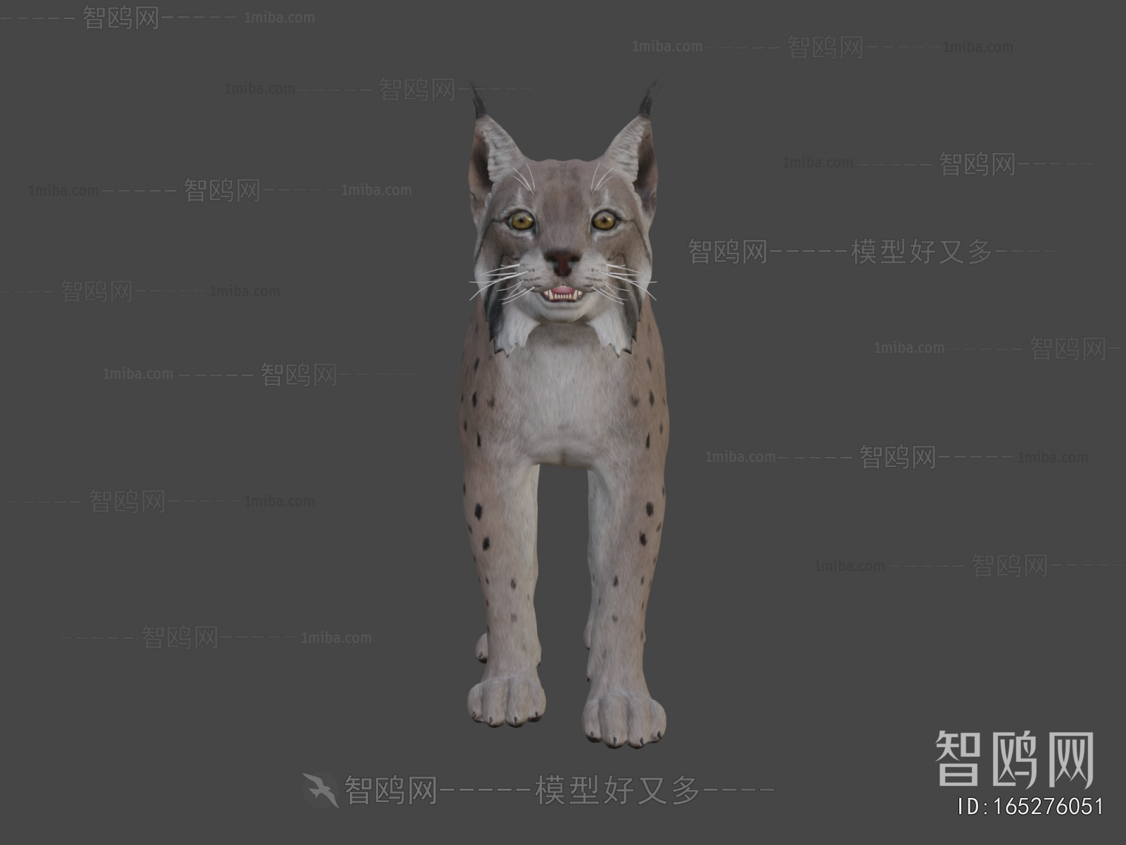 Modern Animal Cat
