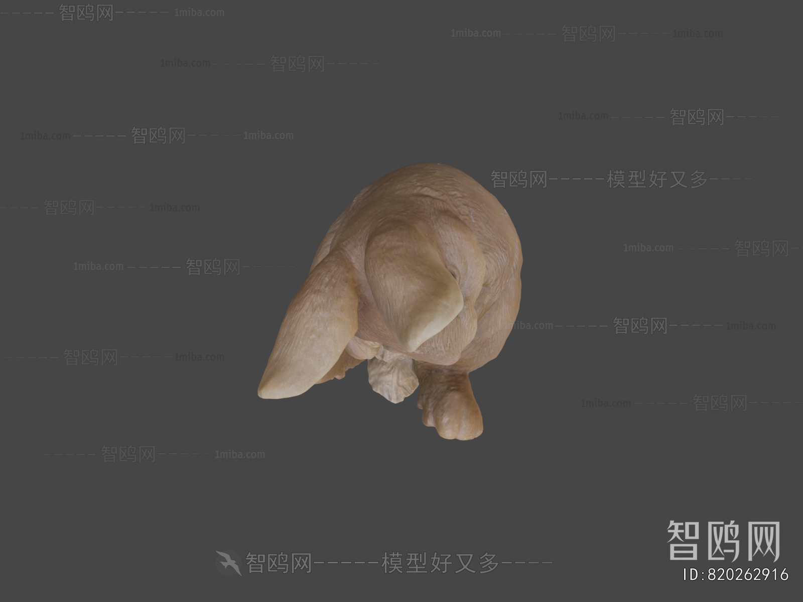 Modern Animal